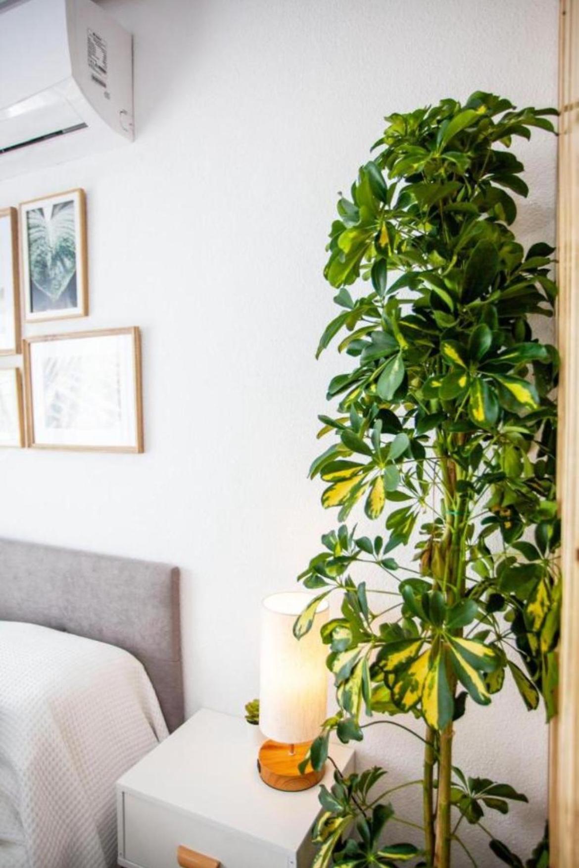 Ole Studio Apartment Рохалес Екстериор снимка